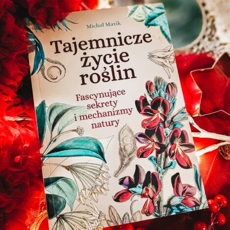 Prezentownik 2025 od&nbsp;Muzealnego Jednorożca